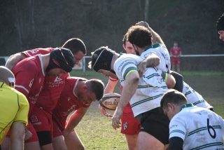 dsc_3948-4.jpg - JPEG - 307.4 ko - 2000×1333 px