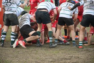 dsc_4431-4.jpg - JPEG - 481.6 ko - 2000×1333 px