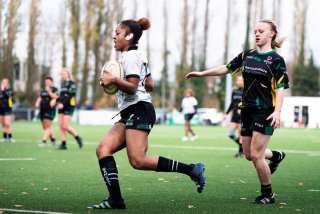 dsc_4538-2.jpg - JPEG - 168.8 ko - 2000×1325 px