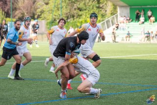 dsc_6149-2.jpg - JPEG - 430.8 ko - 2000×1333 px