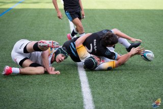 dsc_6158-4.jpg - JPEG - 411.9 ko - 2000×1333 px