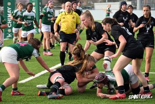 dsc_7301-2.jpg - JPEG - 751.5 ko - 2000×1333 px