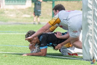 dsc_8659-3.jpg - JPEG - 430.4 ko - 2000×1334 px