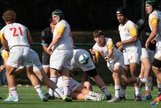 dsc_8761-2.jpg - JPEG - 323.1 ko - 2000×1324 px