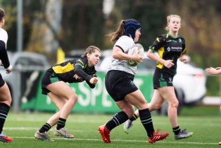 dsc_8993-3.jpg - JPEG - 405.1 ko - 2000×1335 px