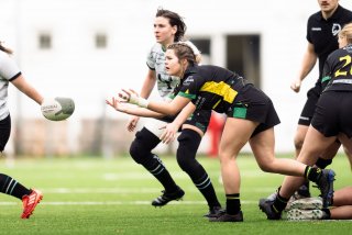 dsc_9119-4.jpg - JPEG - 257.1 ko - 2000×1325 px