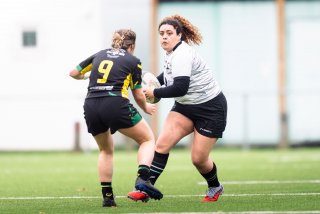 dsc_9132-2.jpg - JPEG - 283 ko - 2000×1332 px