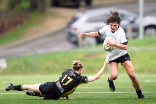 dsc_9146.jpg - JPEG - 135.1 ko - 2000×1325 px