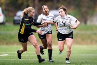 dsc_9155-2.jpg - JPEG - 224.8 ko - 2000×1335 px