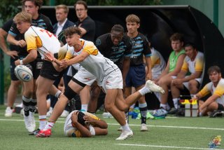 dsc_9231.jpg - JPEG - 403.5 ko - 2000×1333 px