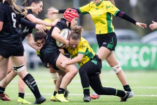 dsc_9584-3.jpg - JPEG - 395.1 ko - 2000×1333 px