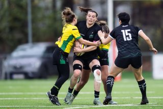 dsc_9715-4.jpg - JPEG - 345.4 ko - 2000×1333 px