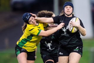 dsc_9929-2.jpg - JPEG - 308.7 ko - 2000×1334 px