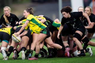 dsc_9966.jpg - JPEG - 370.1 ko - 2000×1334 px