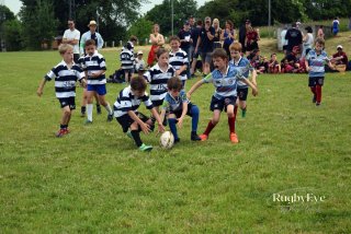 image00054-9.jpg - JPEG - 495.6 ko - 1600×1066 px