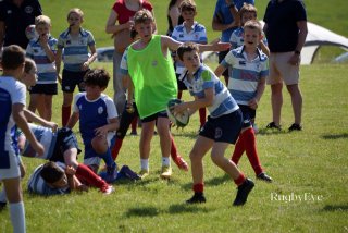 image00091-2.jpg - JPEG - 337.1 ko - 1600×1066 px