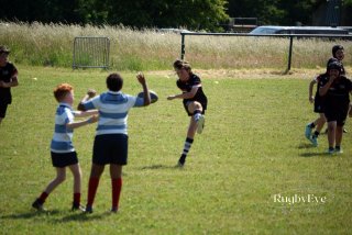 image00102-3.jpg - JPEG - 348.4 ko - 1600×1066 px