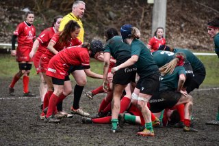 img-20260131-wa0022.jpg - JPEG - 318.9 ko - 1500×1000 px