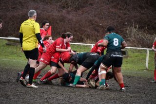 img-20260131-wa0025.jpg - JPEG - 285.1 ko - 1500×1000 px