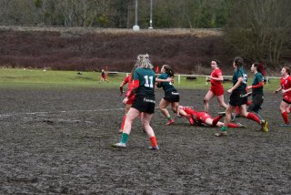 img-20260131-wa0045.jpg - JPEG - 325.5 ko - 1500×1000 px