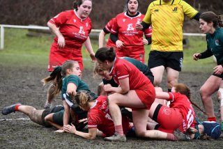 img-20260131-wa0048.jpg - JPEG - 316.6 ko - 1500×1000 px