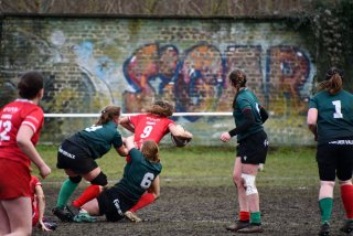 img-20260131-wa0061.jpg - JPEG - 261.8 ko - 1500×1000 px