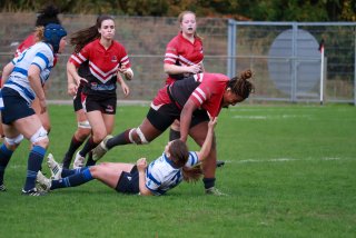 img_0555.jpg - JPEG - 376.5 ko - 2000×1333 px