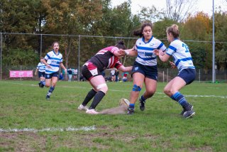 img_0890.jpg - JPEG - 523.9 ko - 2000×1333 px