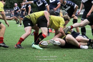 img_1229.jpg - JPEG - 555.4 ko - 2000×1333 px