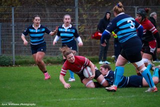 img_1414.jpg - JPEG - 438.2 ko - 2000×1333 px