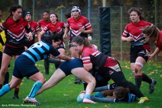 img_1614-3.jpg - JPEG - 436.1 ko - 2000×1333 px