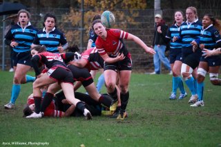 img_1632-3.jpg - JPEG - 441.7 ko - 2000×1333 px