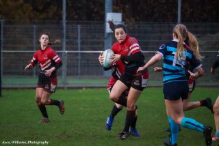 img_1976-3.jpg - JPEG - 335.8 ko - 2000×1333 px