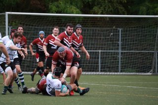 img_2022-2.jpg - JPEG - 407.6 ko - 2000×1333 px