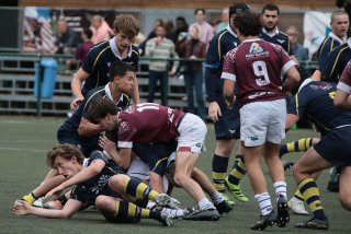 img_2110-3.jpg - JPEG - 397.8 ko - 2000×1333 px