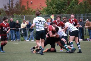 img_2203.jpg - JPEG - 422 ko - 2000×1333 px