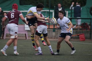 img_2229-2.jpg - JPEG - 173.4 ko - 2000×1333 px