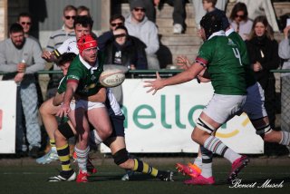 img_2259-2.jpg - JPEG - 287 ko - 2000×1333 px