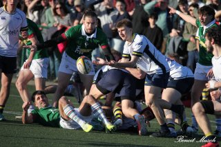 img_2412-2.jpg - JPEG - 146.7 ko - 1500×1000 px