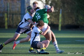 img_2490-3.jpg - JPEG - 390.3 ko - 2000×1333 px