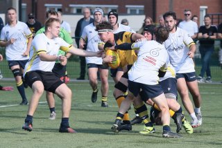 img_3085-2.jpg - JPEG - 452.8 ko - 2000×1333 px