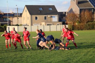 img_3123.jpg - JPEG - 72.1 ko - 800×533 px