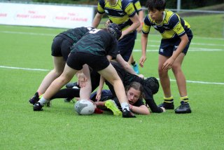 img_3547_54573466503_o.jpg - JPEG - 454.1 ko - 2000×1333 px