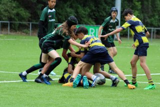 img_3697_54573479578_o.jpg - JPEG - 456.3 ko - 2000×1333 px