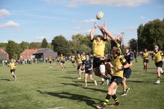 img_3794-4.jpg - JPEG - 643 ko - 2000×1333 px