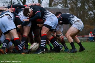 img_4088.jpg - JPEG - 384.9 ko - 2000×1333 px