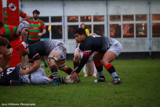 img_4216.jpg - JPEG - 356.1 ko - 2000×1333 px