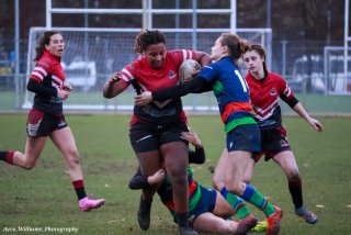 img_5116-2.jpg - JPEG - 366.8 ko - 2000×1333 px