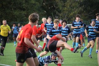 img_5950.jpg - JPEG - 401.7 ko - 2000×1333 px