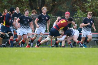 img_6741.jpg - JPEG - 359.8 ko - 2000×1333 px